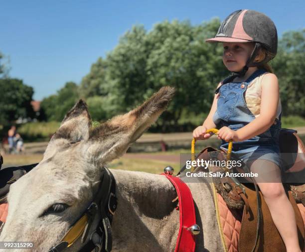 child riding a donkey - asino animale foto e immagini stock