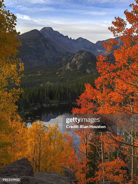 Houston Fall Tree 770 Houston Autumn Stock Photos, High-Res Pictures, and Images - Getty ...
