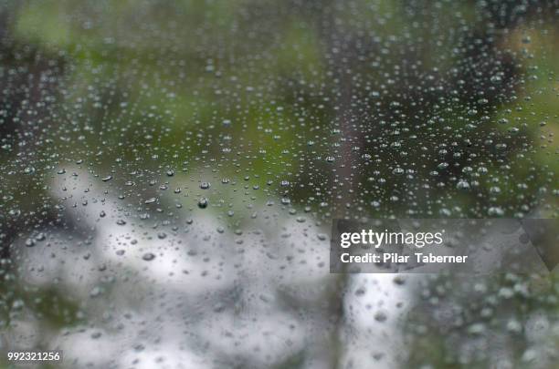 nadie puede guardar toda el agua del mar en un vaso de cristal. - nadie stockfoto's en -beelden