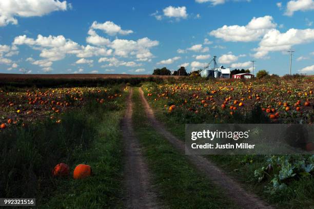 pumpkin farm in waterman, illinois - justin waterman 個照片及��圖片檔