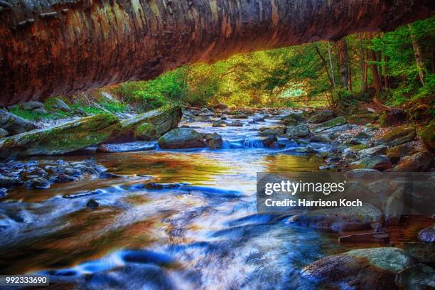 the creek - harrison wood stock pictures, royalty-free photos & images
