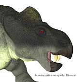 Kannemeyeria Dinosaur Head