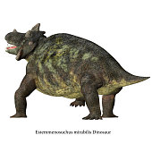 Estemmenosuchus mirabilis Dinosaur Tail