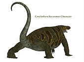 Cotylorhynchus Dinosaur Tail