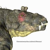 Estemmenosuchus uralensis Dinosaur Head