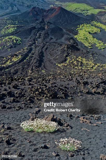 mt etna - mt etna fotografías e imágenes de stock