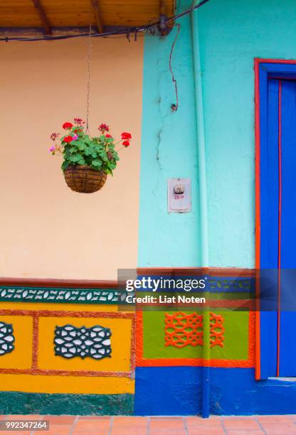 guatape wall with plant - noten stock pictures, royalty-free photos & images
