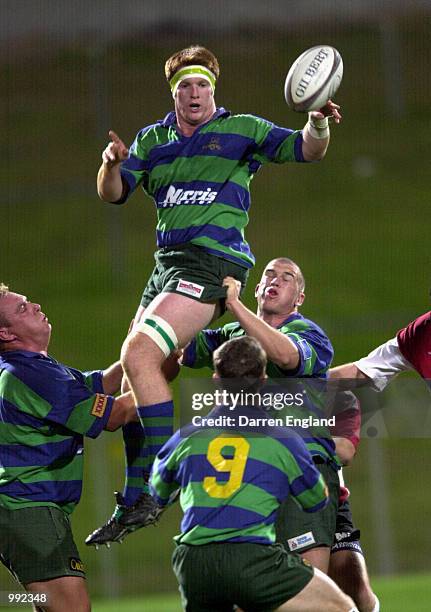 Tim Lane Rugby 4,857 Semi Major Stock Photos, High-Res Pictures, and Images - Getty Images