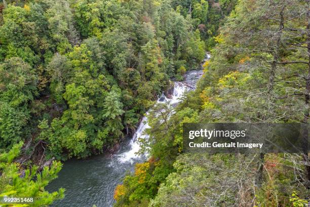 l'eau d'or falls at tallulah gorge - cascade eau ストックフォトと画像