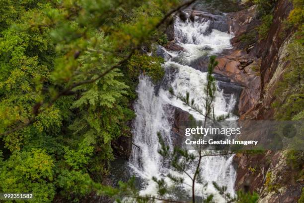 l'eau d'or falls at tallulah gorge - cascade eau stock pictures, royalty-free photos & images