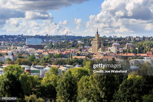 the animals of prague zoo - prague zoo stock pictures, royalty-free photos & images