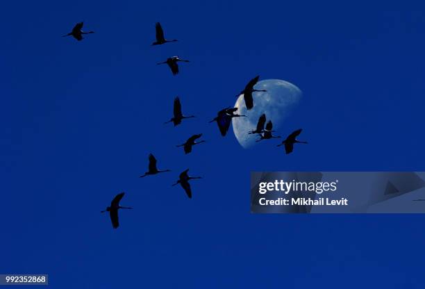 flying to the moon - livit fotografías e imágenes de stock