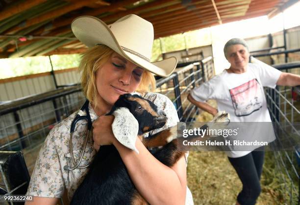 Veterinarian Dr. Romy Nicoletta gives Prince, a baby goat, a hug after checking on goats at Huerfano County Fairgrounds during the Spring Creek Fire...