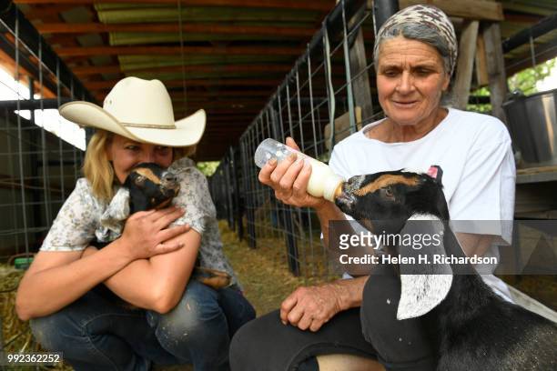 Veterinarian Dr. Romy Nicoletta, left, hugs a goat while goat owner Karen Bayci bottle feeds one of her baby goats at the Huerfano County Fairgrounds...