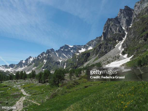 mountain stream in buscagna valley and mount pizzo crampiolo in the background, situated in the natural park of alpe devero (parco naturale dell'alpe veglia e dell'alpe devero), municipality of baceno in the lepontine alps, province of verbano cusio ossol - veglia stock-fotos und bilder