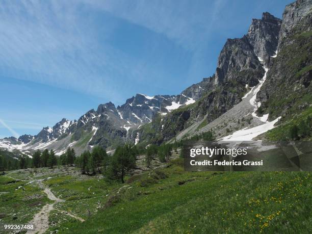 mountain stream in buscagna valley and mount pizzo crampiolo in the background, situated in the natural park of alpe devero (parco naturale dell'alpe veglia e dell'alpe devero), municipality of baceno in the lepontine alps, province of verbano cusio ossol - veglia stockfoto's en -beelden