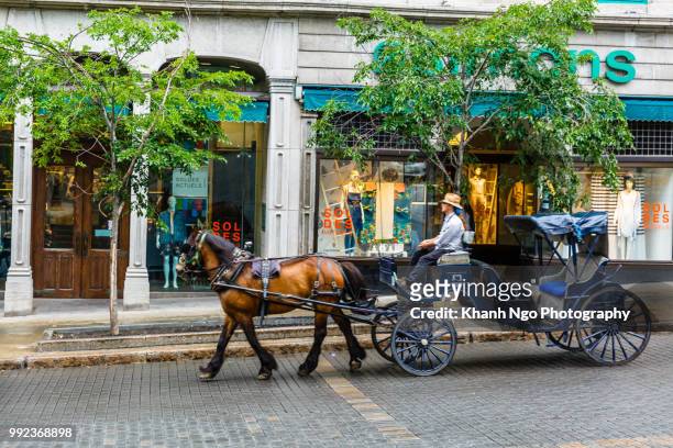 horse cart tour in downtown of old quebec city - khanh ngo bildbanksfoton och bilder