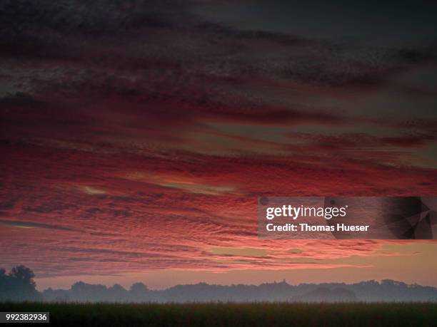 sunrise niederrhein - niederrhein stock-fotos und bilder