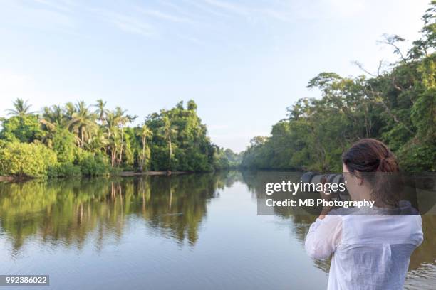 woman at river with camera - osa peninsula stockfoto's en -beelden