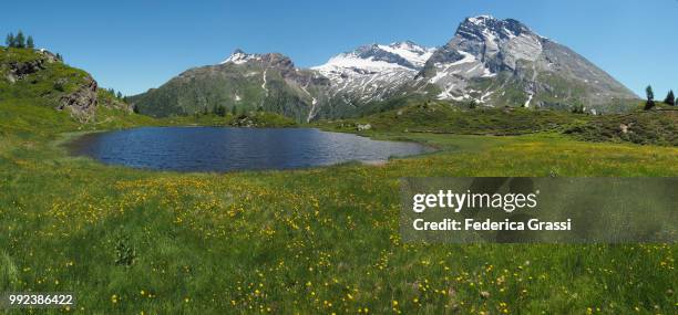 mount breitloibgrat seen from simplon pass between the lepontine alps and the pennine alps in switzerland, just across the international border between switzerland and italy. on the italian side is piedmont region, ossola valley, province of verbano cusio - province of verbano cusio ossola stock pictures, royalty-free photos & images