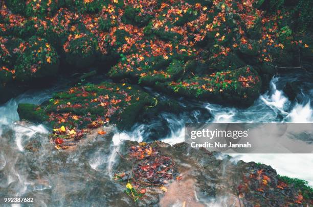 duden waterfalls - duden stock-fotos und bilder
