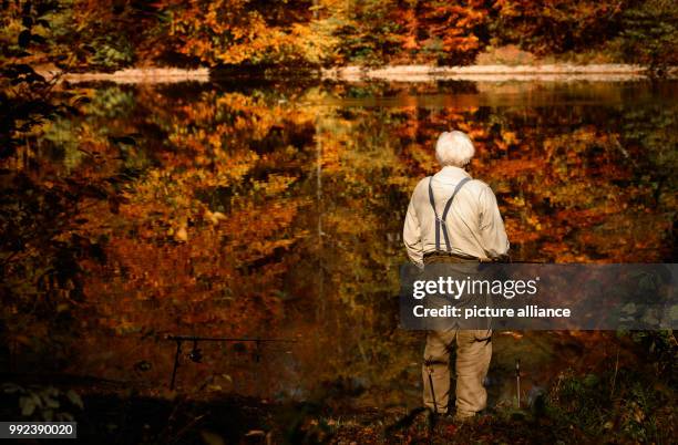 Man fishes near a lake which reflects the autumnal colouring of the nearby forest, in Stuttgart, Germany, 16 October 2017. Photo: Sina Schuldt/dpa