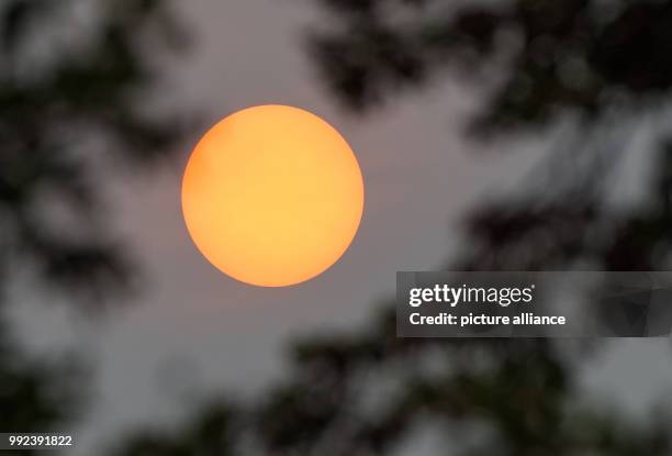 Autumn foliage can be seen silhouetted against the sun which shines weakly through a layer of clouds in Hamburg, Germany, 17 October 2017. The sun...