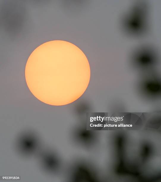 Autumn foliage can be seen silhouetted against the sun which shines weakly through a layer of clouds in Hamburg, Germany, 17 October 2017. The sun...