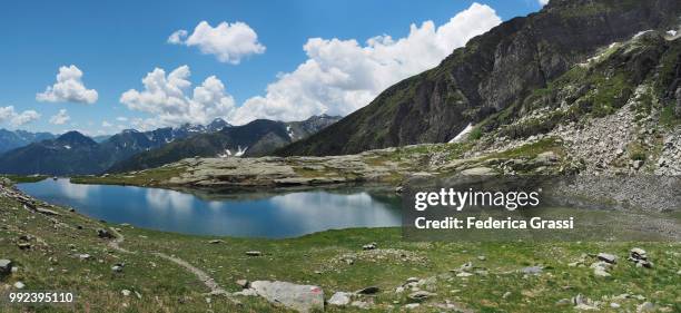 hiking trail crossing alpine pasture at middle paione lake (lago del paione di mezzo) - lepontinische alpen stock-fotos und bilder