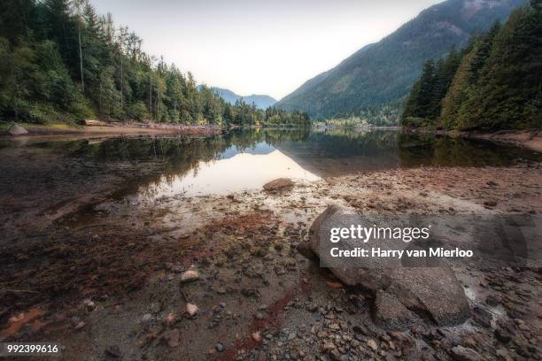 lake of the woods - lake of the woods foto e immagini stock