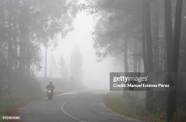 el motorista de la niebla (biker fog) - motorista stock-fotos und bilder