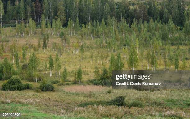 scapes of izborsk - izborsk imagens e fotografias de stock