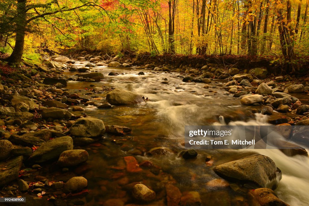 Meriden Hill Brook