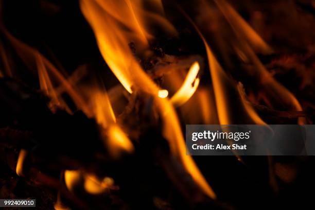 fireflame.jpg - alex coal stock pictures, royalty-free photos & images