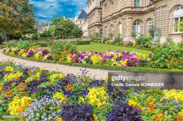 france, paris 6th district, jardin du luxembourg, palais du luxembourg - palais du luxembourg stockfoto's en -beelden
