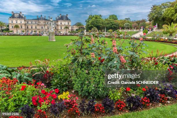 france, paris 6th district, jardin du luxembourg, palais du luxembourg - palais du luxembourg stockfoto's en -beelden