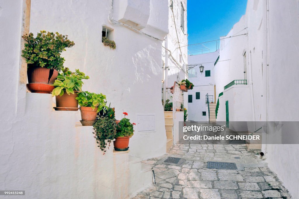 Italy, Apulia, Itria Valley, small street in the white village of Ostuni