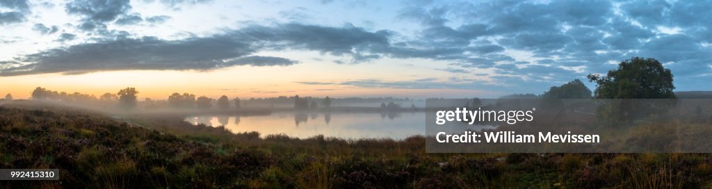 Panorama 'Misty Fen'