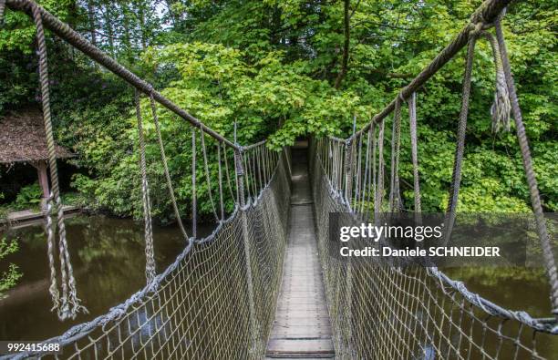 france, ille-et-vilaine, botanical garden of upper brittany, rope bridge - vattnets lopp bildbanksfoton och bilder