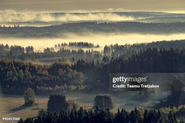 foggy countryside view - teemu tretjakov stock pictures, royalty-free photos & images