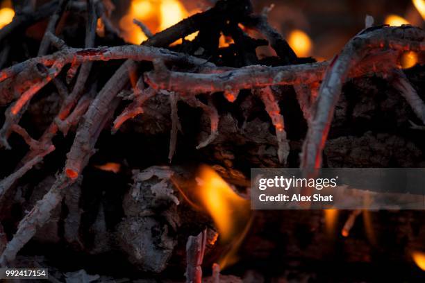 inside the heat.jpg - alex coal stock pictures, royalty-free photos & images