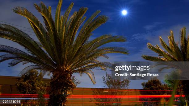 under the blue moon - blue moon stock pictures, royalty-free photos & images