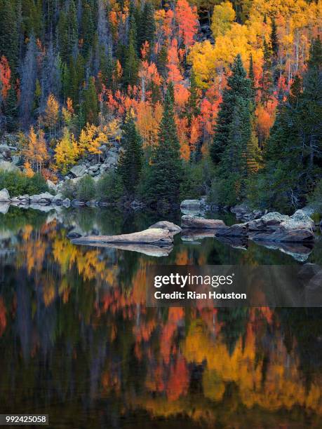 Houston Fall Tree 740 Houston Autumn Stock Photos, High-Res Pictures, and Images - Getty ...