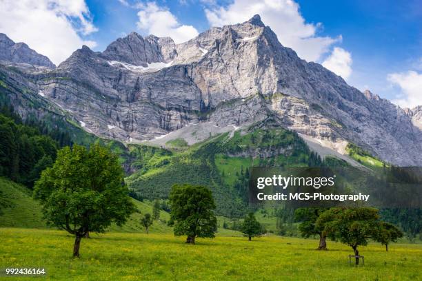 karwendel mountain range und ahorn-bäume in österreich - ahorn stock-fotos und bilder