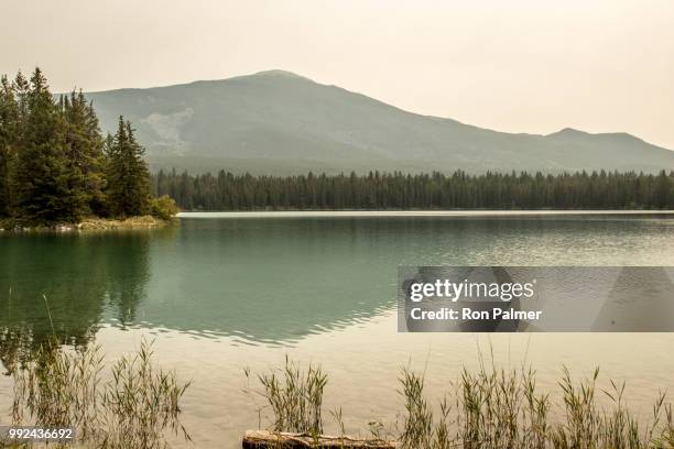 reflections on lake edith - edith falls stock pictures, royalty-free photos & images