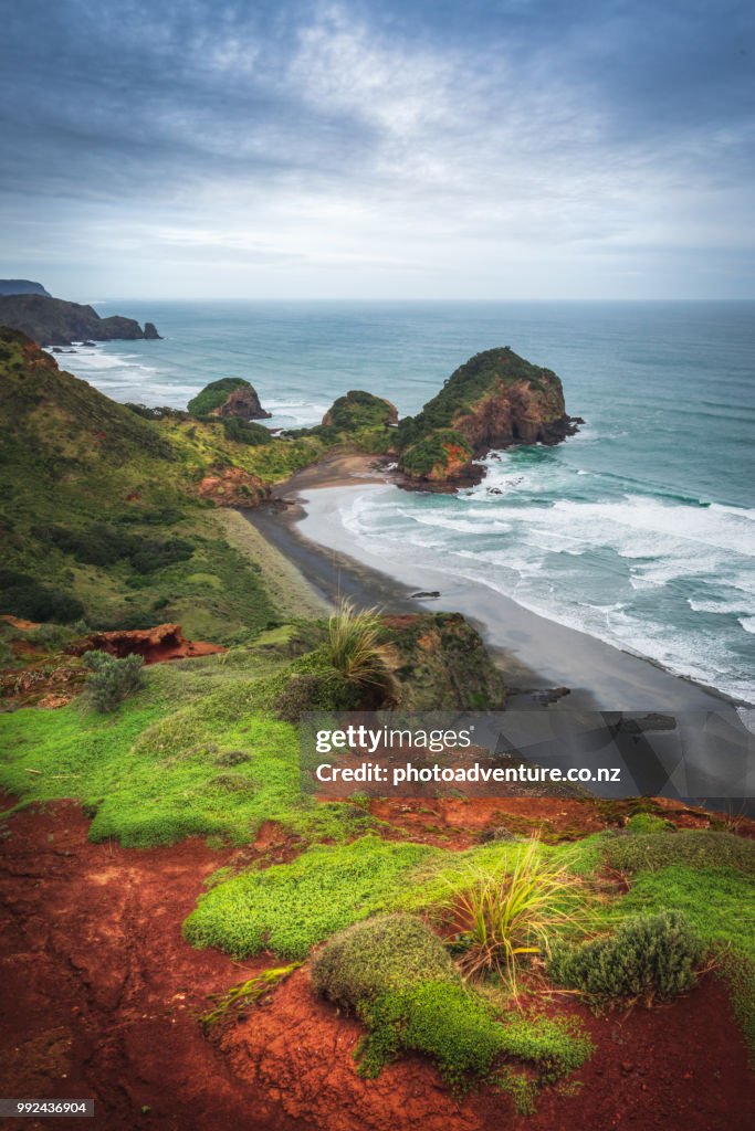 Bethells Beach