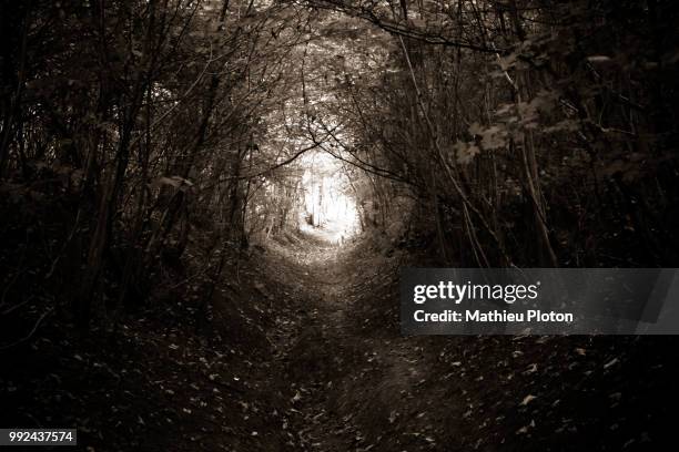 the light at the end of the tunnel. - light at the end of the tunnel - fotografias e filmes do acervo