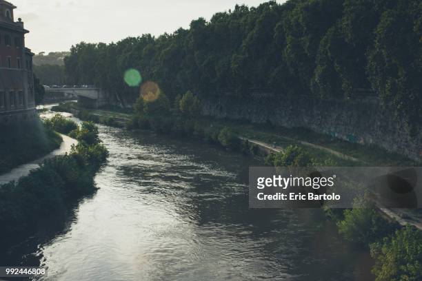 fiume tevere - bartolo stock pictures, royalty-free photos & images