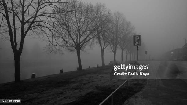 a foggy morning in 's-hertogenbosch - fatih kaya stockfoto's en -beelden