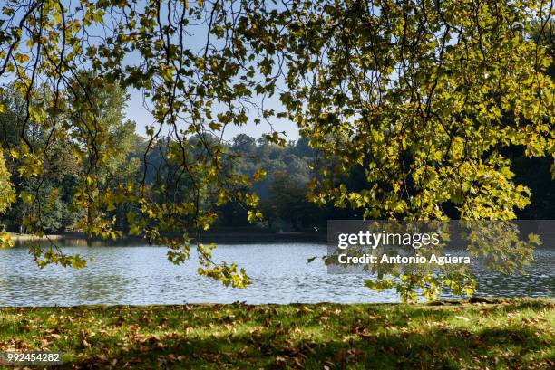 rood klooster - klooster stock pictures, royalty-free photos & images